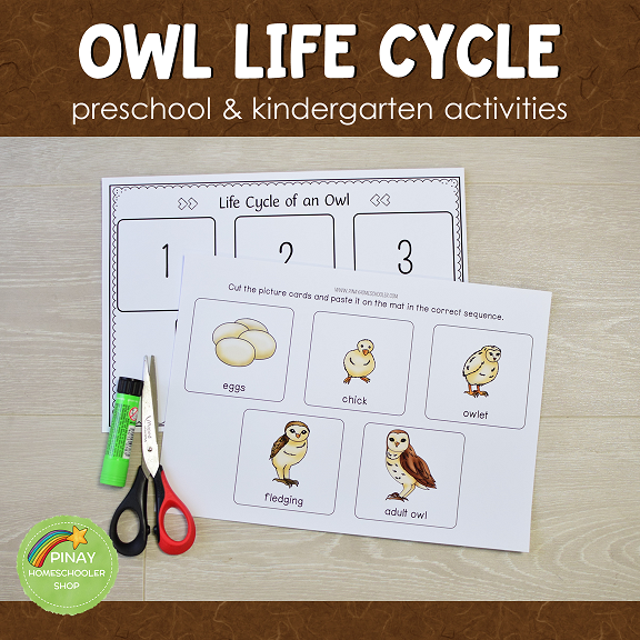 Owl Life Cycle Set - Preschool & Kindergarten