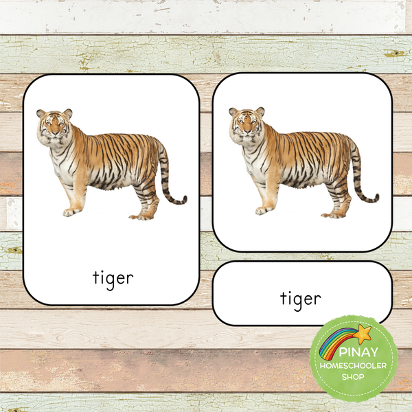 Montessori Wild Animals Toob 3 Part Cards