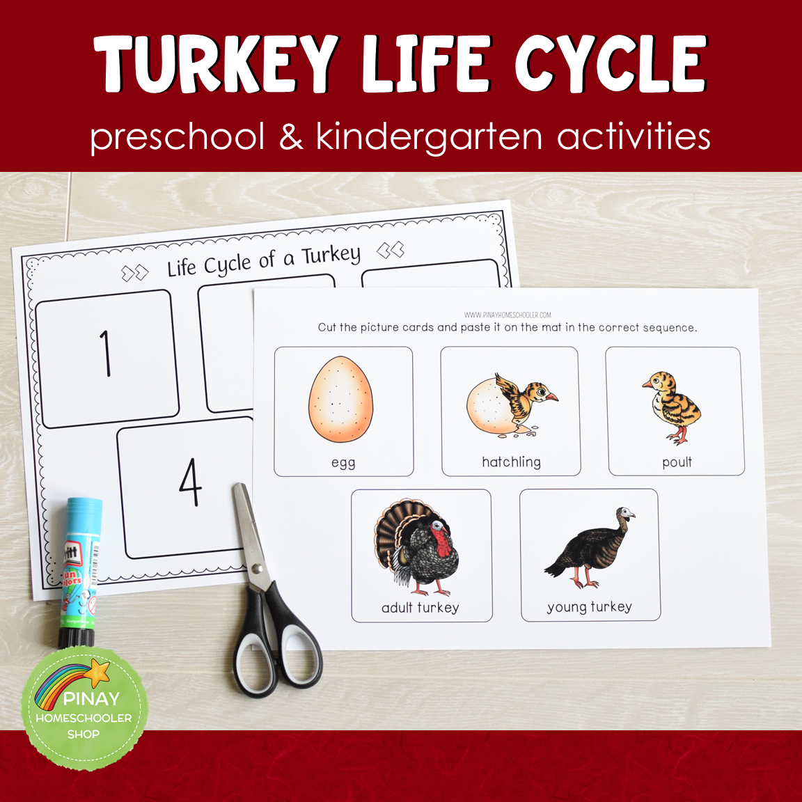 Turkey Life Cycle Montessori Inspired