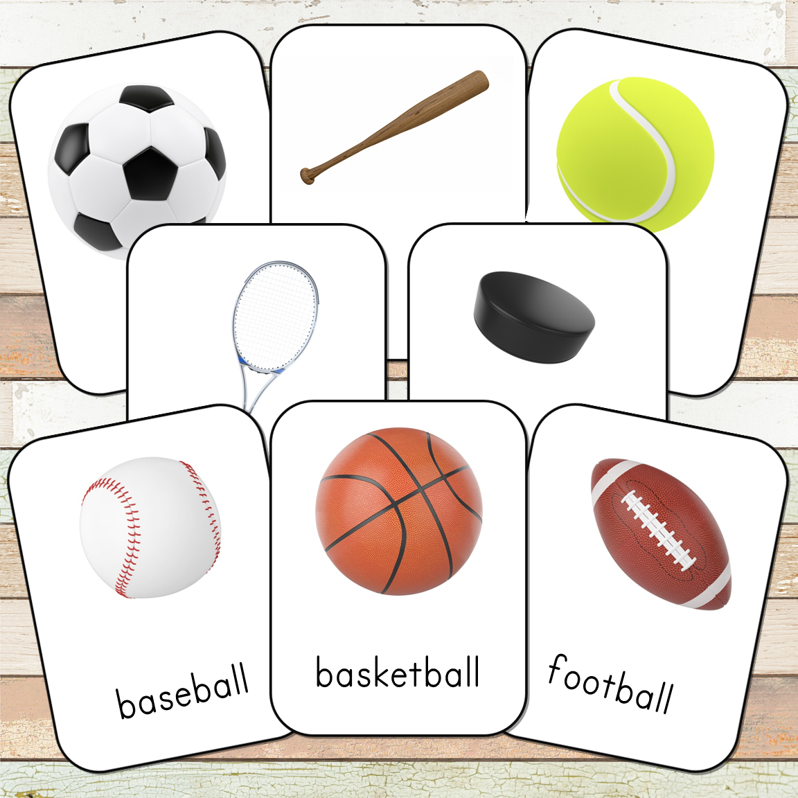 Montessori Sports Toob 3 Part Cards [EDITABLE]