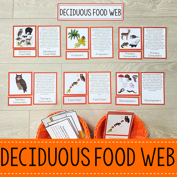 Deciduous Forest Biome Food Web and Food Chains Learning Pack