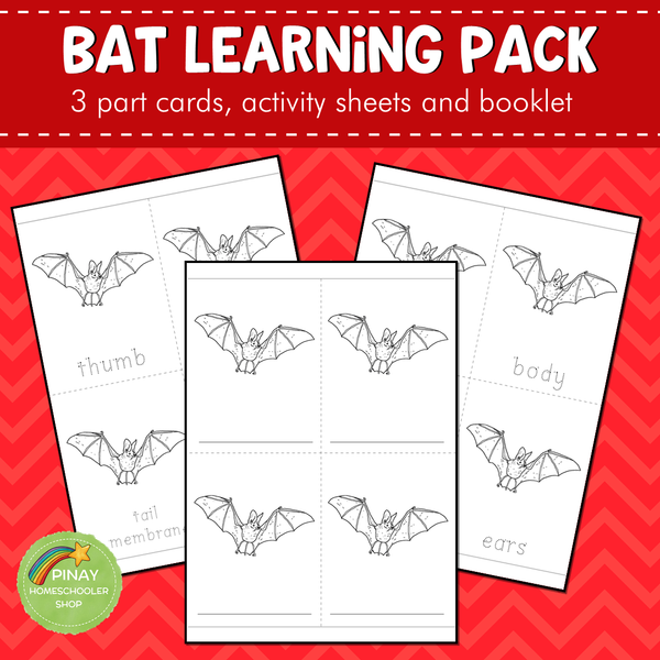 Montessori Parts of a Bat 3 Part Cards