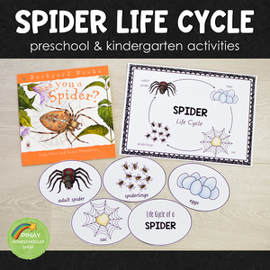 Spider Life Cycle Set - Preschool & Kindergarten