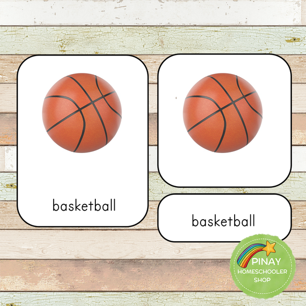 Montessori Sports Toob 3 Part Cards [EDITABLE]