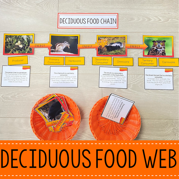 Deciduous Forest Biome Food Web and Food Chains Learning Pack