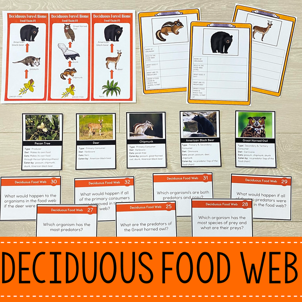 Deciduous Forest Biome Food Web and Food Chains Learning Pack