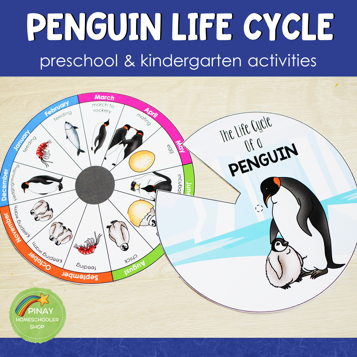 Penguin Life Cycle - Montessori Inspired
