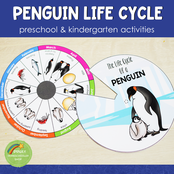 Penguin Life Cycle Activity Set: Preschool/ Kindergarten