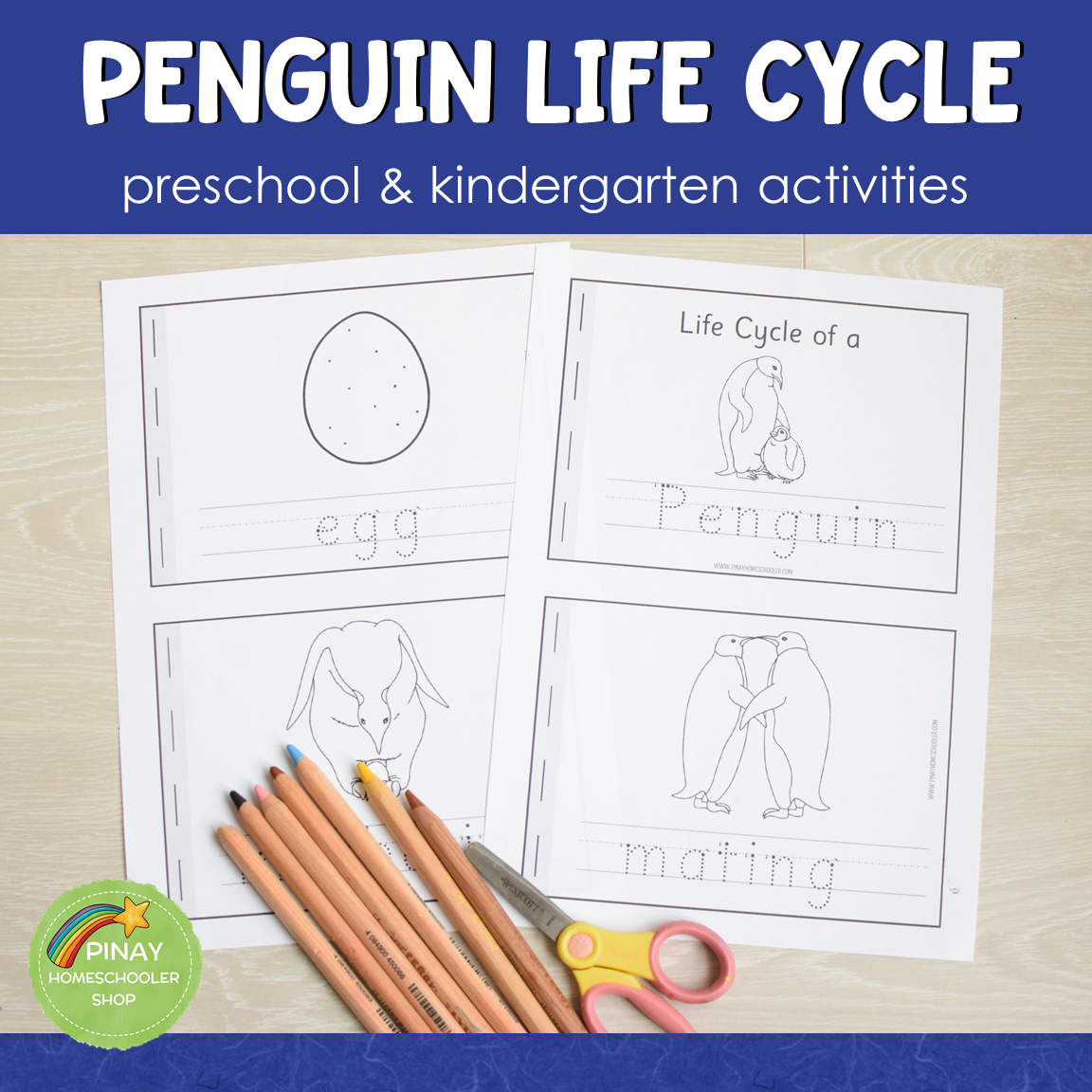 Penguin Life Cycle - Montessori Inspired