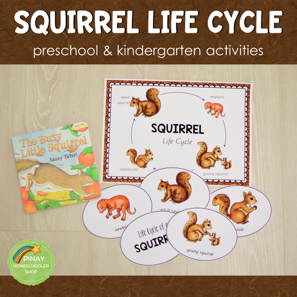 Squirrel Life Cycle Set - Preschool & Kindergarten Science Centers