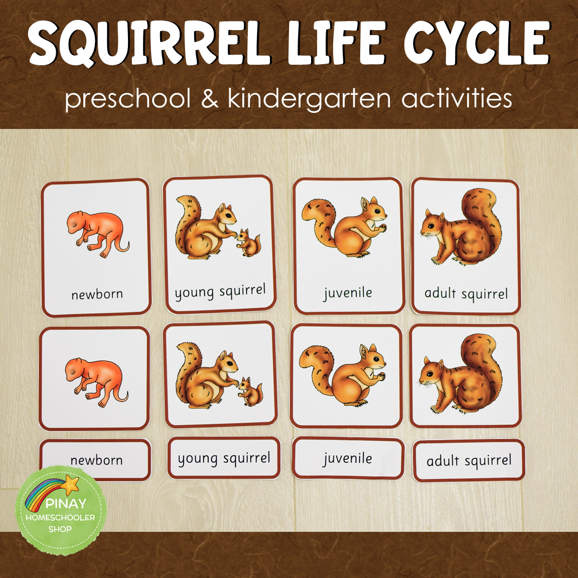 Squirrel Life Cycle Montessori Inspired