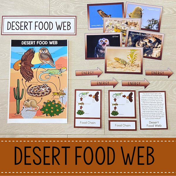Desert Biome Food Web and Food Chains Learning Pack