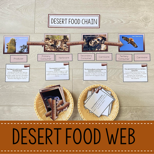 Desert Biome Food Web and Food Chains Learning Pack