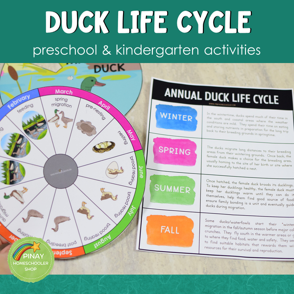 Duck Life Cycle Activity Set