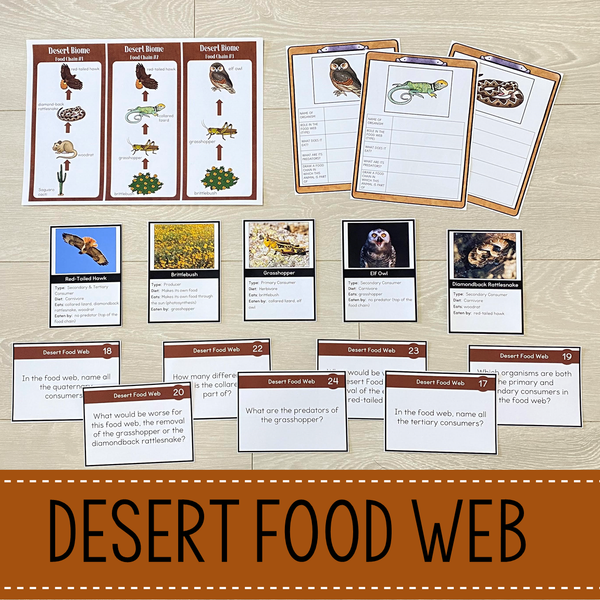 Desert Biome Food Web and Food Chains Learning Pack
