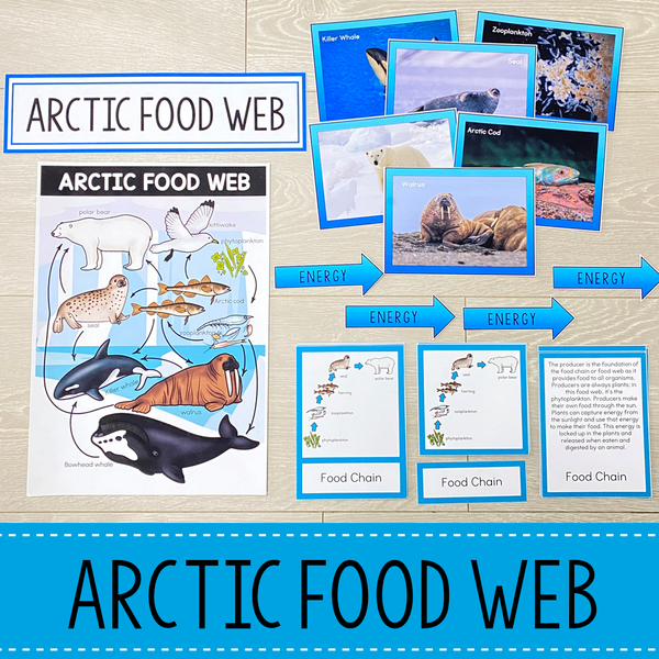 Arctic Biome Food Web and Food Chains Learning Pack