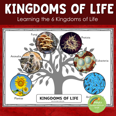 Montessori 6 Kingdoms of Life Learning Pack