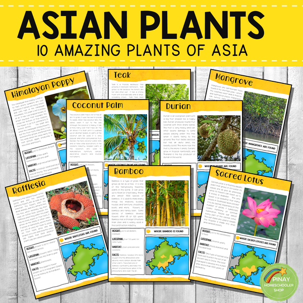 Plants of Asia Montessori 3 Part Cards