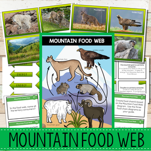 Mountain Biome Food Web and Food Chains Learning Pack