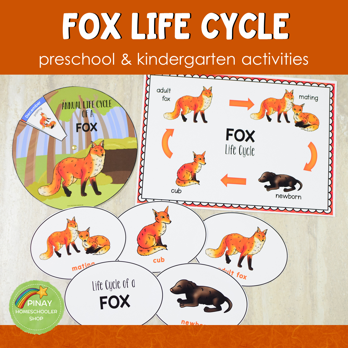 Fox Life Cycle Montessori Inspired