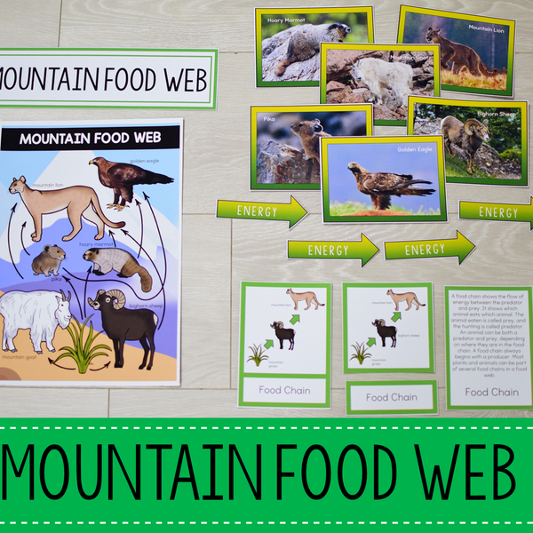 Mountain Biome Food Web and Food Chains Learning Pack