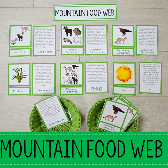 Mountain Biome Food Web and Food Chains Learning Pack