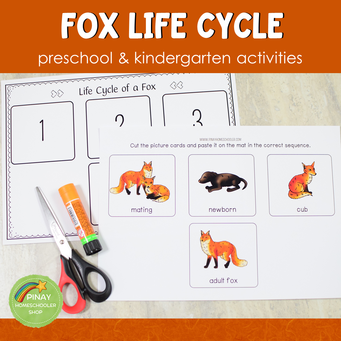 Fox Life Cycle Montessori Inspired