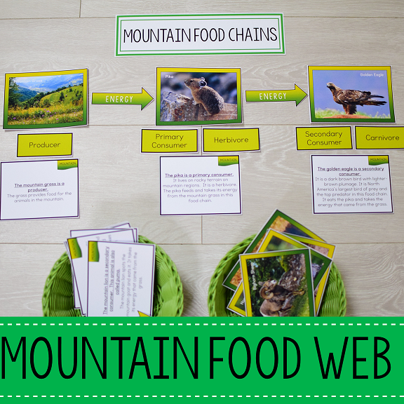 Mountain Biome Food Web and Food Chains Learning Pack