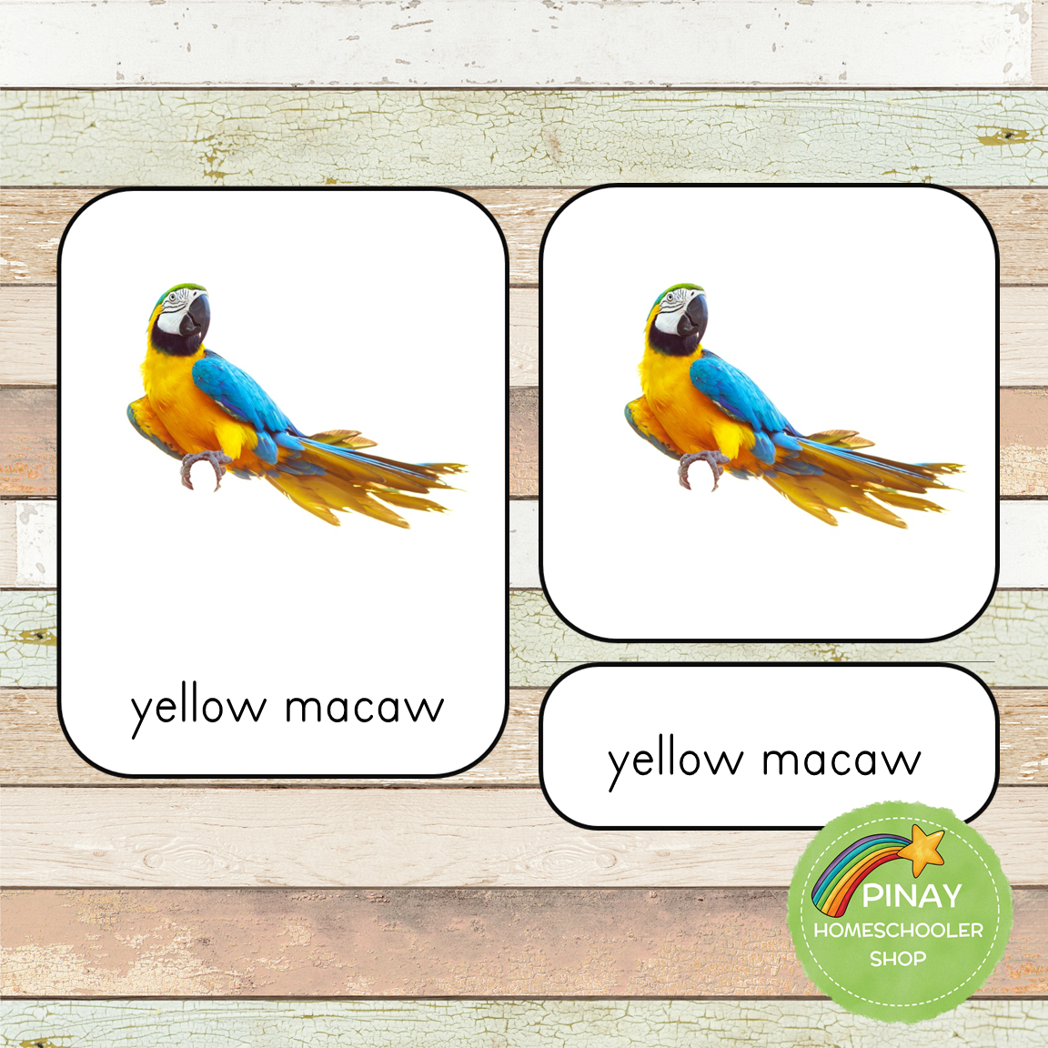 Montessori Exotic Birds Toob 3 Part Cards