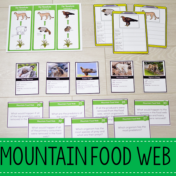 Mountain Biome Food Web and Food Chains Learning Pack
