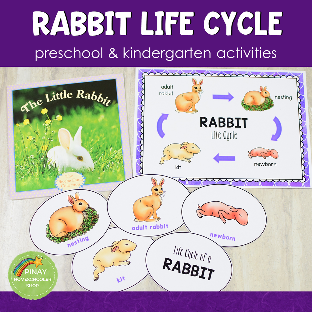 Rabbit Life Cycle Activity Set – Pinay Homeschooler Shop