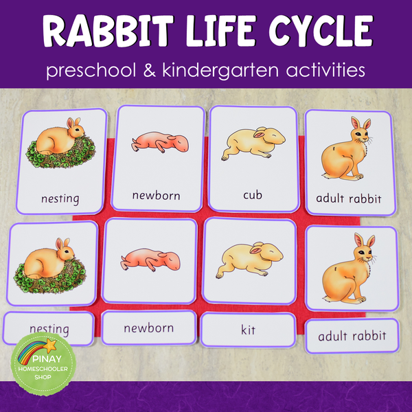 Rabbit Life Cycle Activity Set