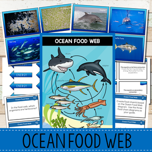 Ocean Biome Food Web and Food Chains Learning Pack