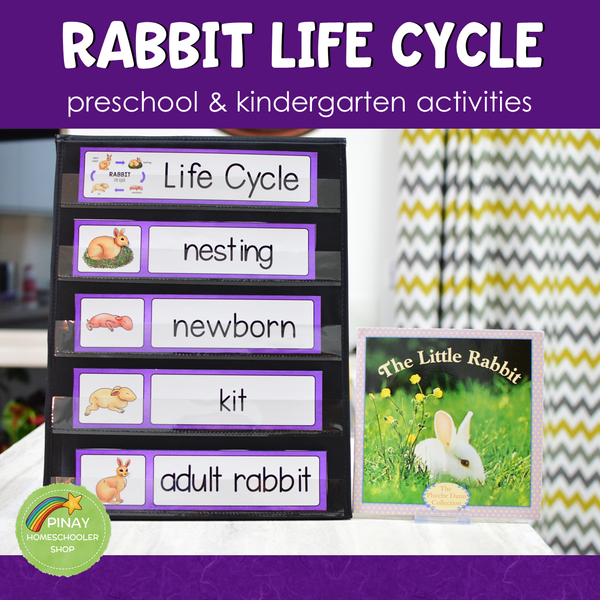 Rabbit Life Cycle Activity Set