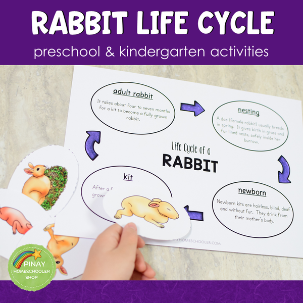 Rabbit Life Cycle Activity Set