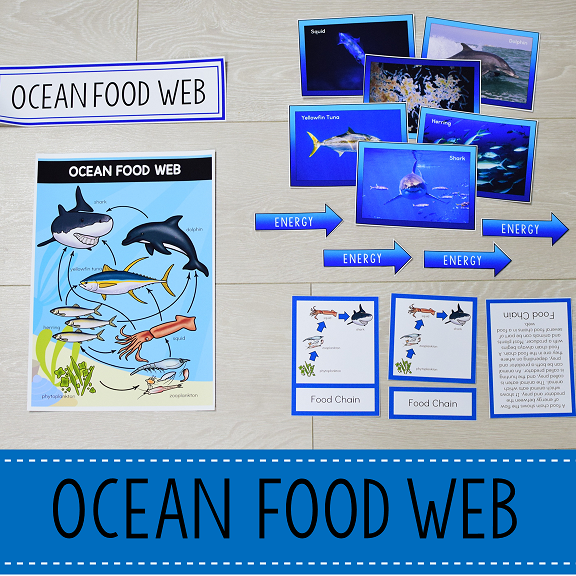 Ocean Biome Food Web and Food Chains Learning Pack