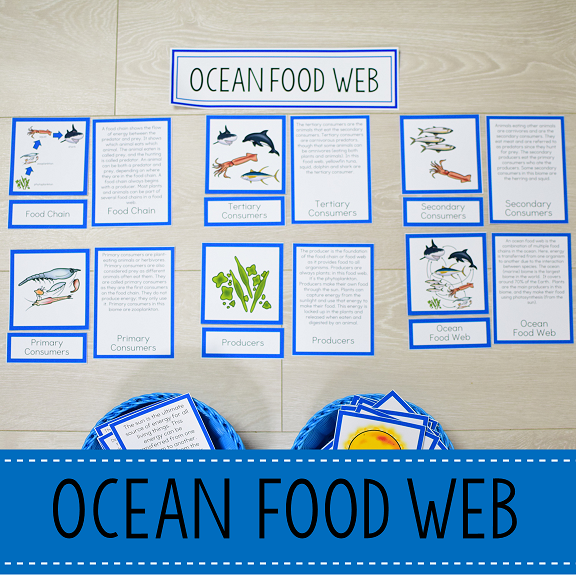 Ocean Biome Food Web and Food Chains Learning Pack