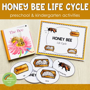 Honey Bee Life Cycle Set - Preschool & Kindergarten Science Centers