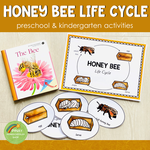Honey Bee Life Cycle Set - Preschool & Kindergarten Science Centers