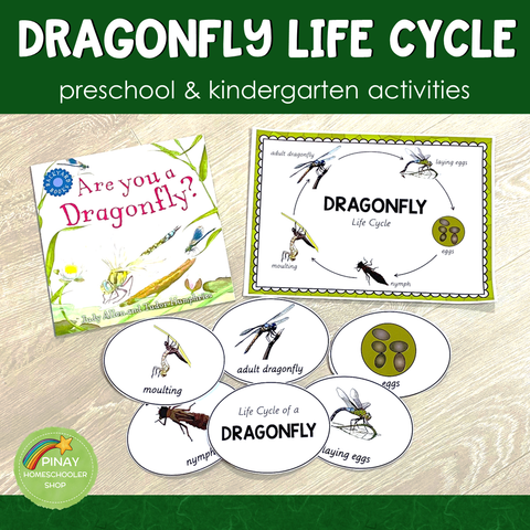 Dragonfly Life Cycle Set - Preschool & Kindergarten
