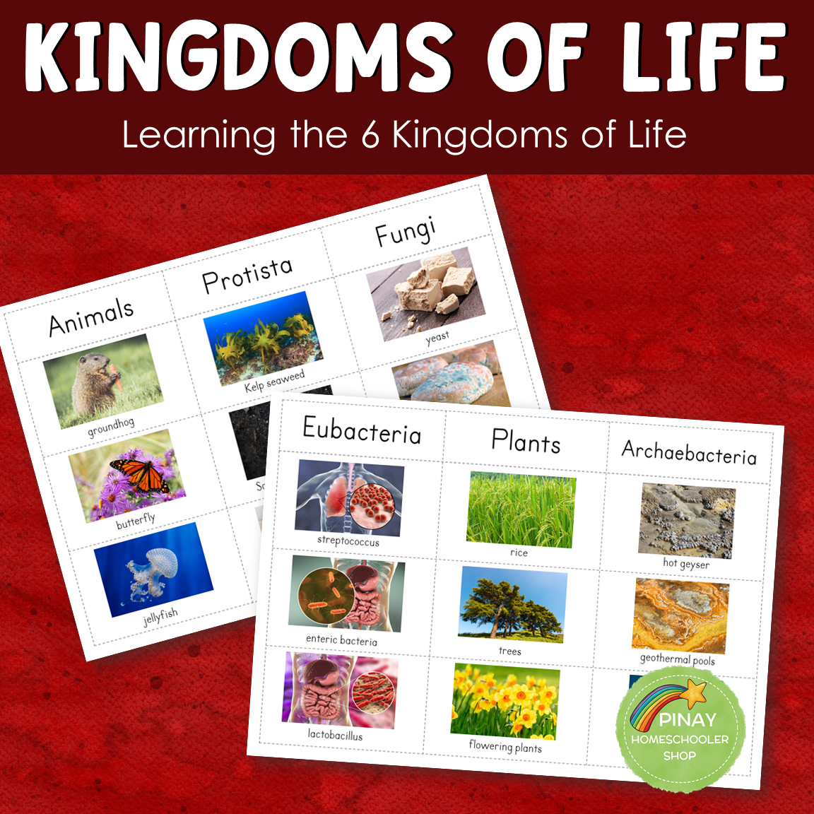 Montessori 6 Kingdoms of Life Learning Pack