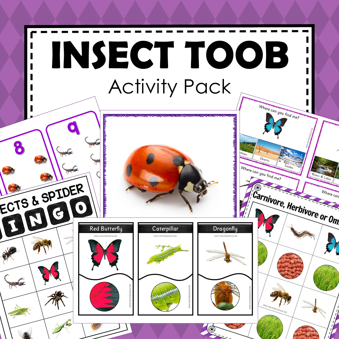 Safari Toob Insect Preschool Kindergarten Learning Pack