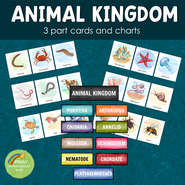 Animal Kingdom 3 Part Cards and Charts