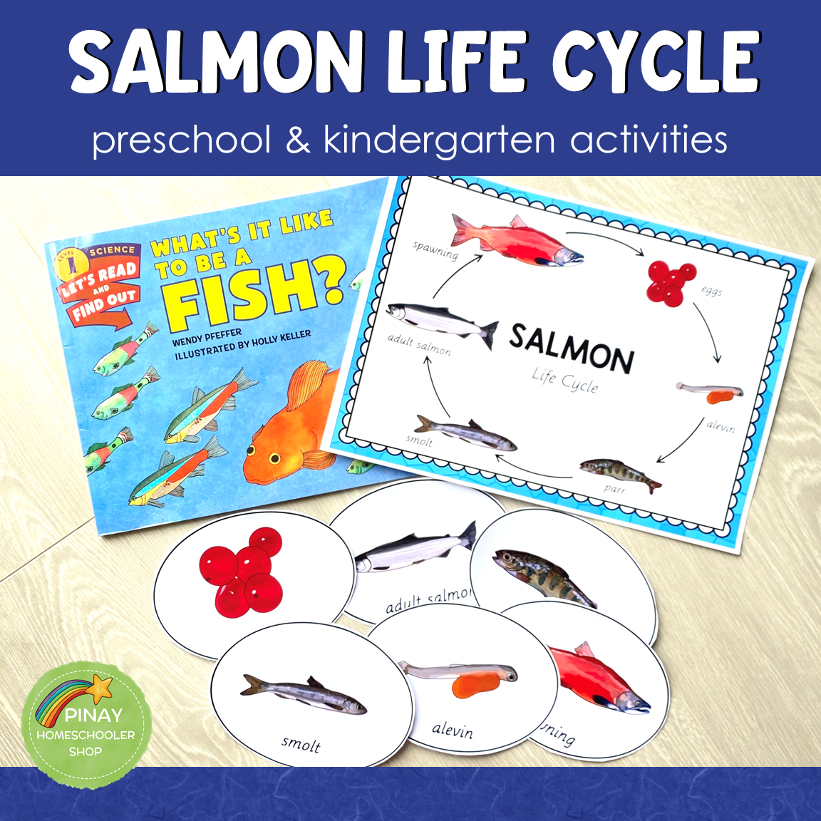 Salmon Life Cycle Activity Set