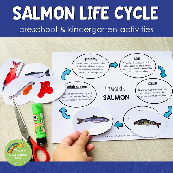 Salmon Life Cycle Activity Set