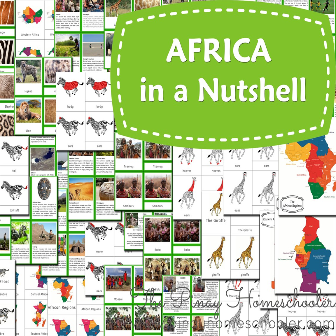 Africa in a Nutshell