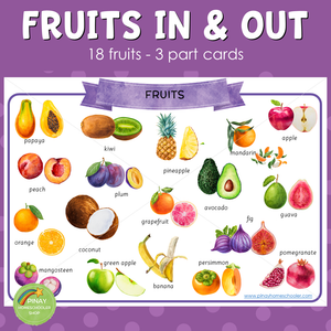 Montessori Fruits Inside and Outside 3 Part Cards