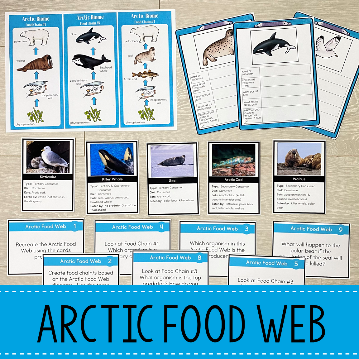 Food Chains and Food Webs Animal Habitat BUNDLE