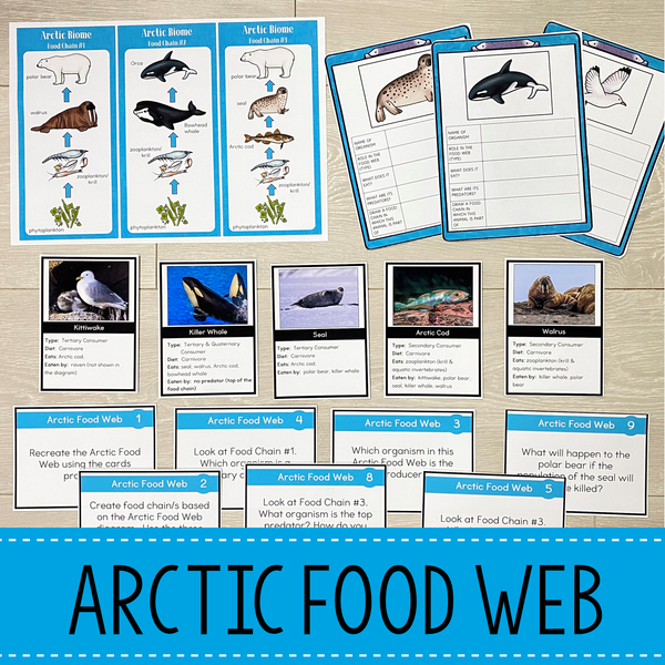 Food Chains and Food Webs Animal Habitat BUNDLE