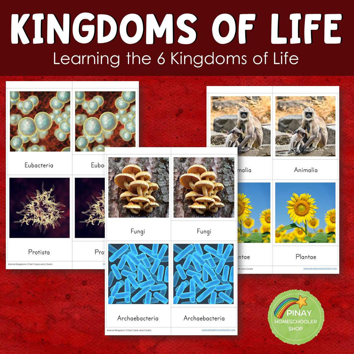 Montessori 6 Kingdoms of Life Learning Pack